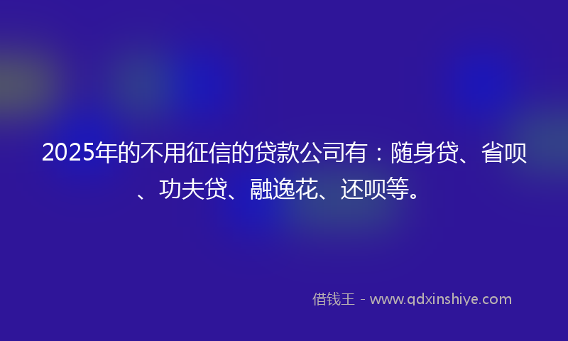 2025年的不用征信的贷款公司有：随身贷、省呗、功夫贷、融逸花、还呗等。