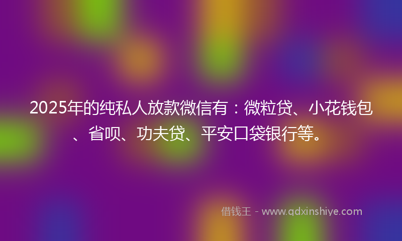 2025年的纯私人放款微信有:微粒贷、小花钱包、省呗、功夫贷、平安口袋银行等。