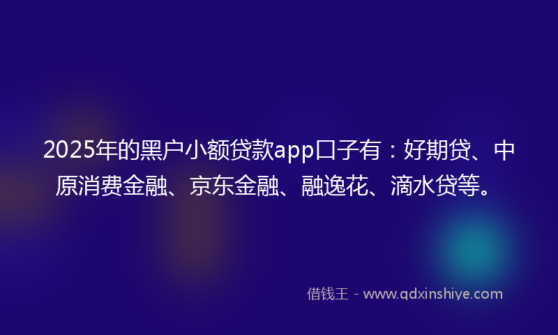 2025年的黑户小额贷款app口子有：好期贷、中原消费金融、京东金融、融逸花、滴水贷等。