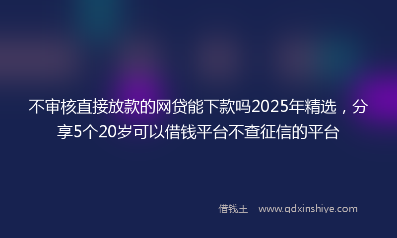 不审核直接放款的网贷能下款吗2025年精选，分享5个20岁可以借钱平台不查征信的平台