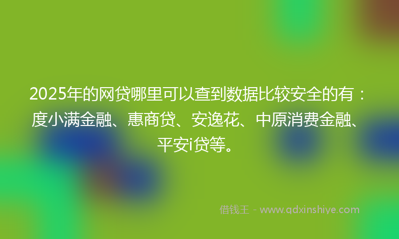 2025年的网贷哪里可以查到数据比较安全的有：度小满金融、惠商贷、安逸花、中原消费金融、平安i贷等。