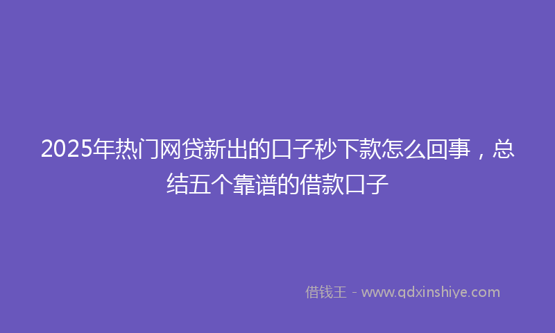 2025年热门网贷新出的口子秒下款怎么回事，总结五个靠谱的借款口子