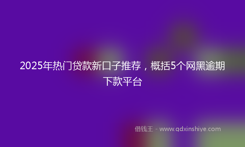 2025年热门贷款新口子推荐，概括5个网黑逾期下款平台