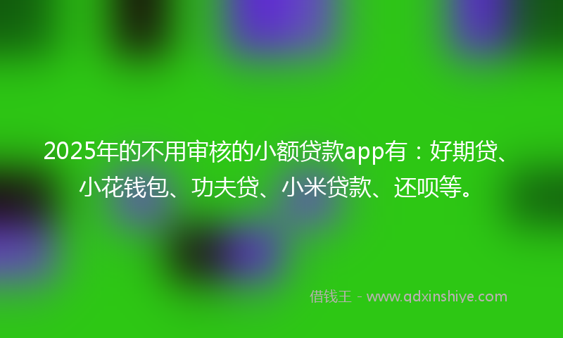 2025年的不用审核的小额贷款app有：好期贷、小花钱包、功夫贷、小米贷款、还呗等。