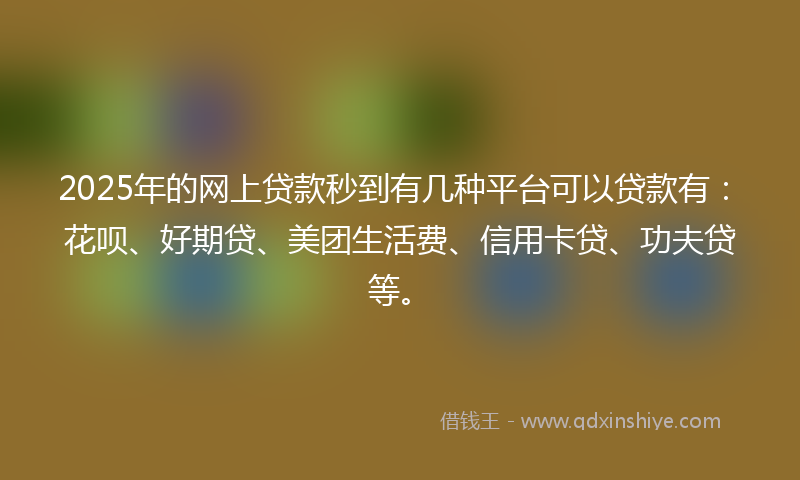 2025年的网上贷款秒到有几种平台可以贷款有：花呗、好期贷、美团生活费、信用卡贷、功夫贷等。