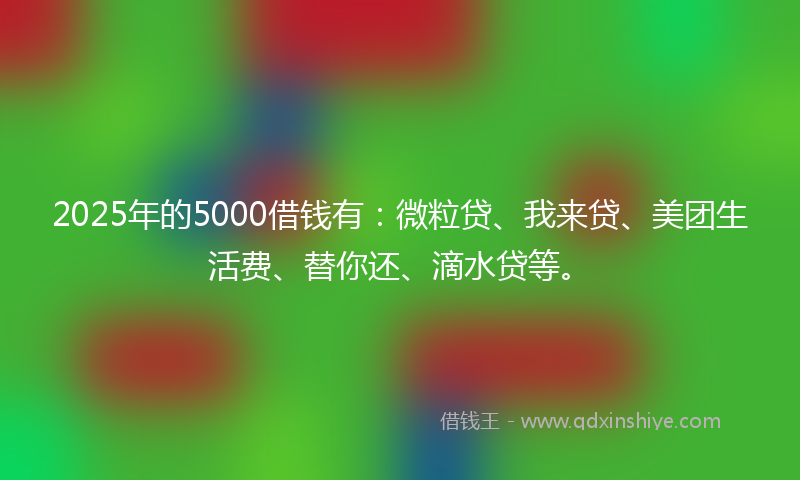 2025年的5000借钱有：微粒贷、我来贷、美团生活费、替你还、滴水贷等。