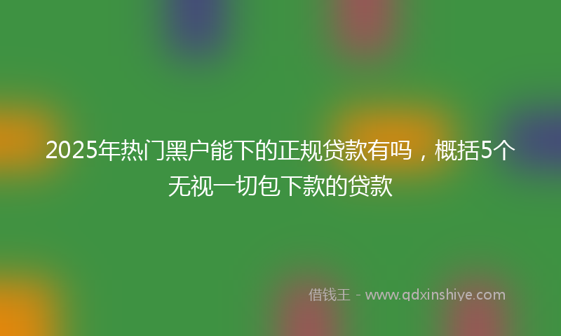 2025年热门黑户能下的正规贷款有吗，概括5个无视一切包下款的贷款