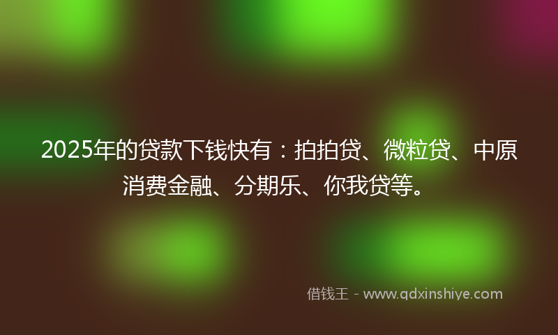 2025年的贷款下钱快有：拍拍贷、微粒贷、中原消费金融、分期乐、你我贷等。