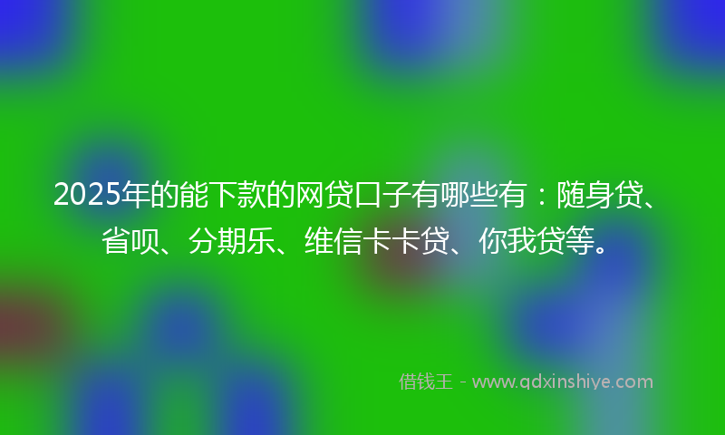 2025年的能下款的网贷口子有哪些有：随身贷、省呗、分期乐、维信卡卡贷、你我贷等。