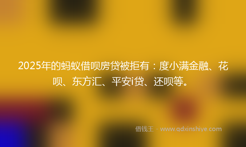 2025年的蚂蚁借呗房贷被拒有:度小满金融、花呗、东方汇、平安i贷、还呗等。