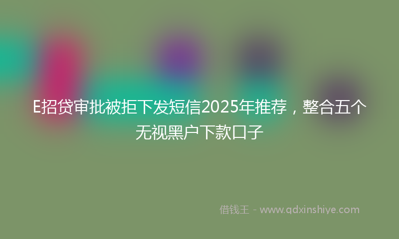 E招贷审批被拒下发短信2025年推荐,整合五个无视黑户下款口子