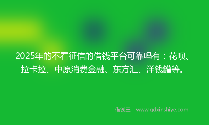 2025年的不看征信的借钱平台可靠吗有：花呗、拉卡拉、中原消费金融、东方汇、洋钱罐等。