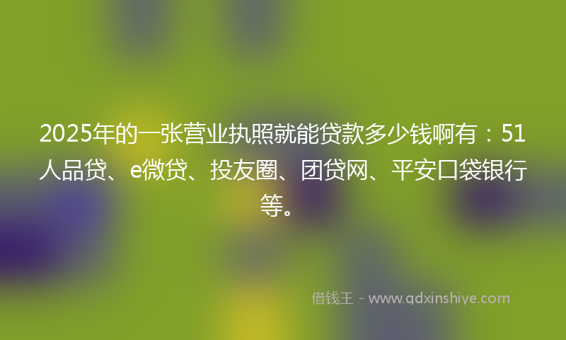 2025年的一张营业执照就能贷款多少钱啊有：51人品贷、e微贷、投友圈、团贷网、平安口袋银行等。