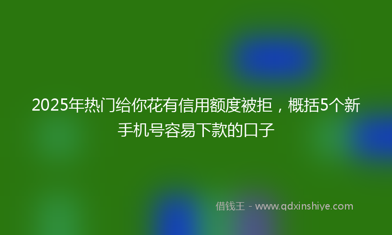 2025年热门给你花有信用额度被拒，概括5个新手机号容易下款的口子