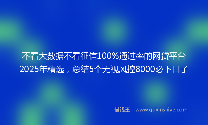 不看大数据不看征信100%通过率的网贷平台2025年精选，总结5个无视风控8000必下口子