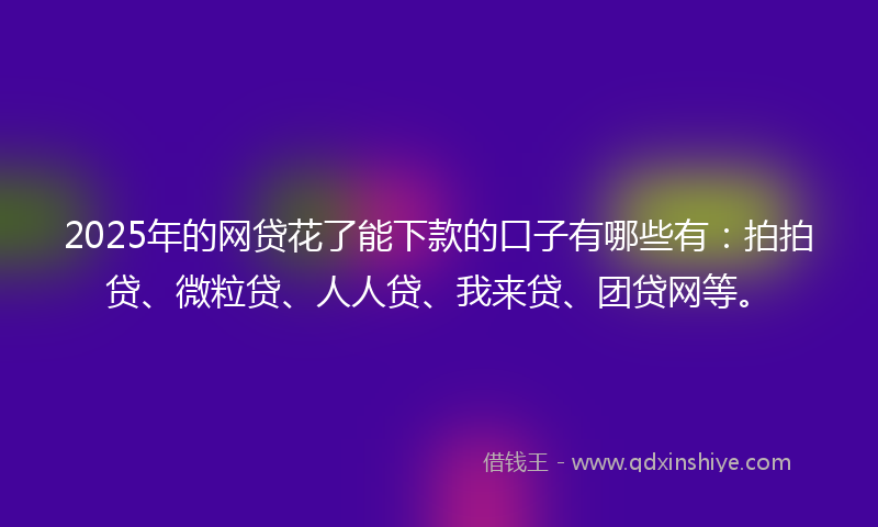 2025年的网贷花了能下款的口子有哪些有：拍拍贷、微粒贷、人人贷、我来贷、团贷网等。