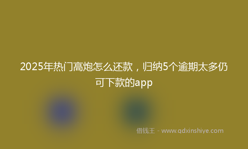 2025年热门高炮怎么还款,归纳5个逾期太多仍可下款的app