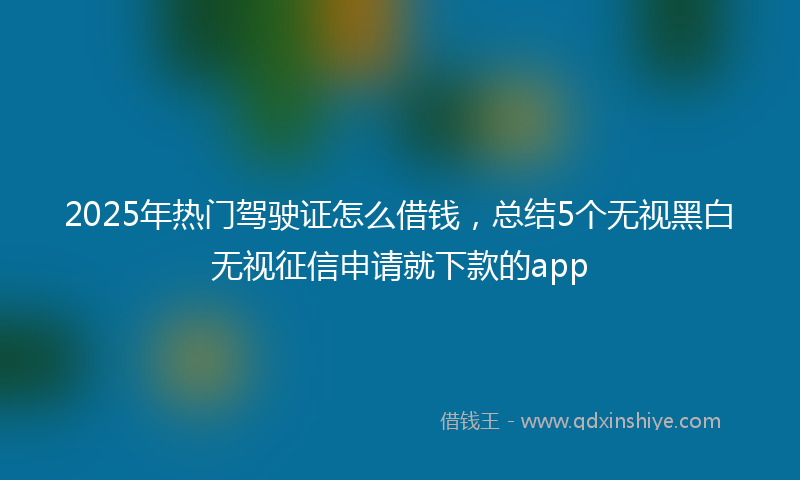 2025年热门驾驶证怎么借钱，总结5个无视黑白无视征信申请就下款的app