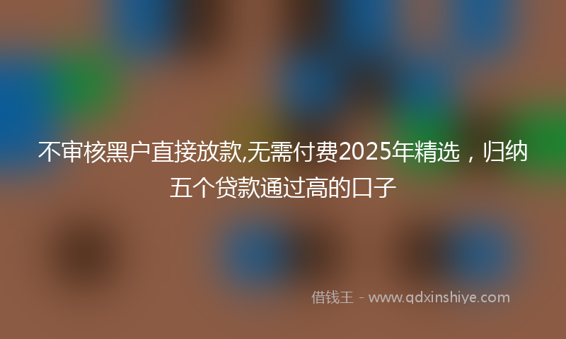 不审核黑户直接放款,无需付费2025年精选，归纳五个贷款通过高的口子