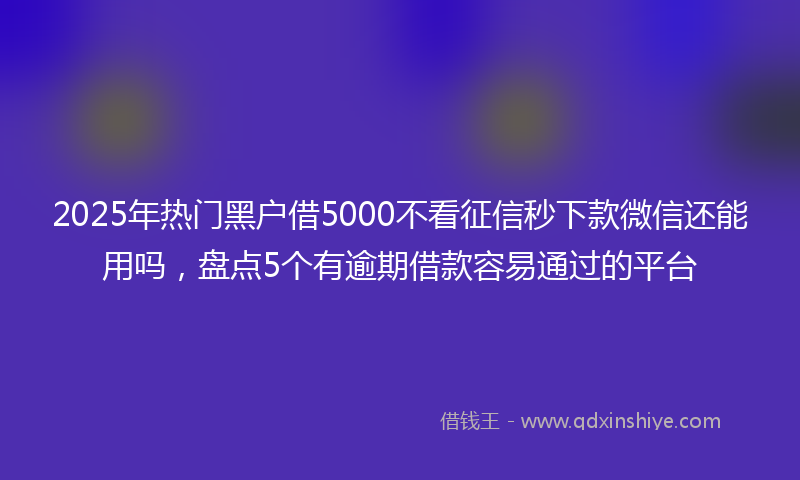 2025年热门黑户借5000不看征信秒下款微信还能用吗，盘点5个有逾期借款容易通过的平台