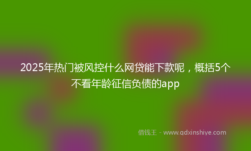 2025年热门被风控什么网贷能下款呢，概括5个不看年龄征信负债的app