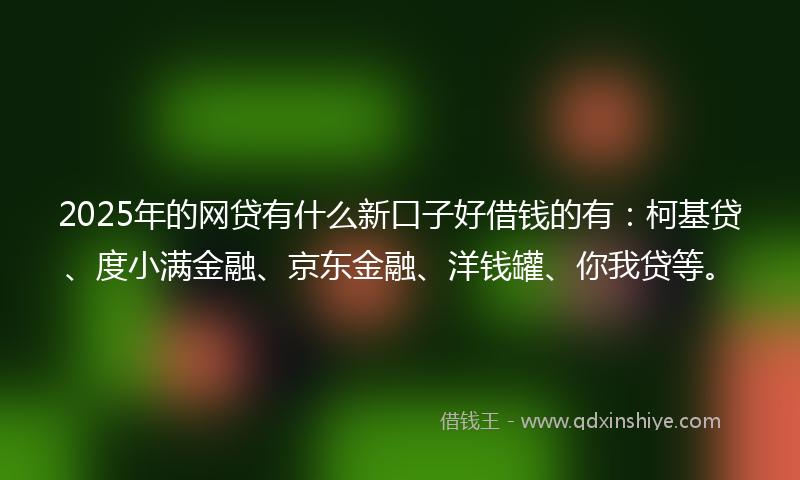 2025年的网贷有什么新口子好借钱的有：柯基贷、度小满金融、京东金融、洋钱罐、你我贷等。