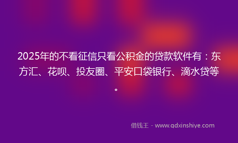 2025年的不看征信只看公积金的贷款软件有：东方汇、花呗、投友圈、平安口袋银行、滴水贷等。