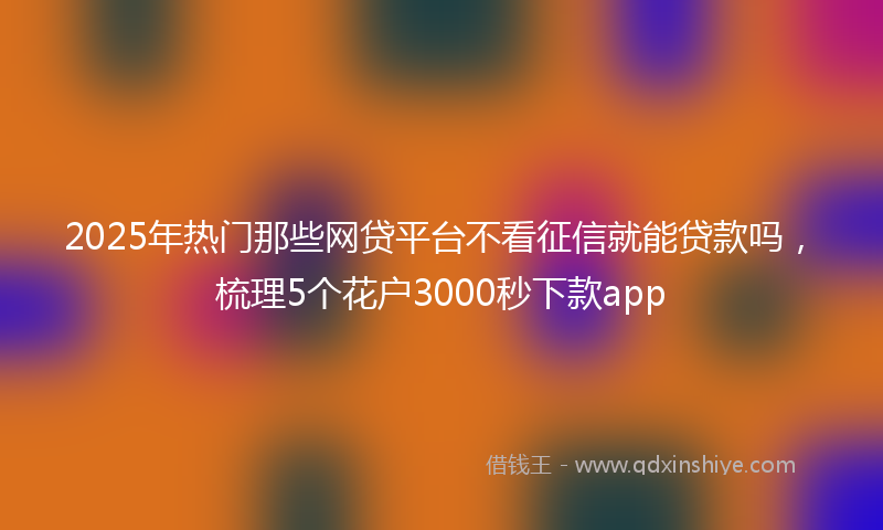 2025年热门那些网贷平台不看征信就能贷款吗，梳理5个花户3000秒下款app