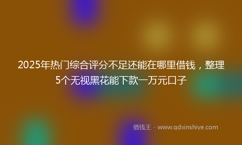 2025年热门综合评分不足还能在哪里借钱，整理5个无视黑花能下款一万元口子
