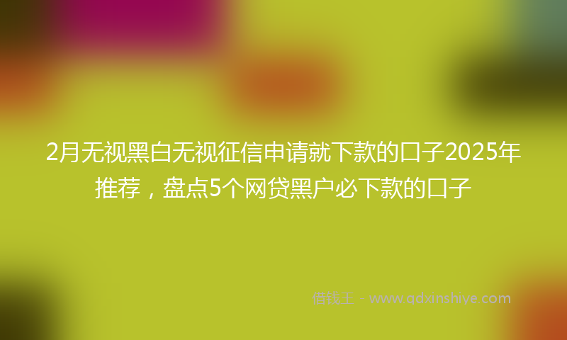 2月无视黑白无视征信申请就下款的口子2025年推荐，盘点5个网贷黑户必下款的口子