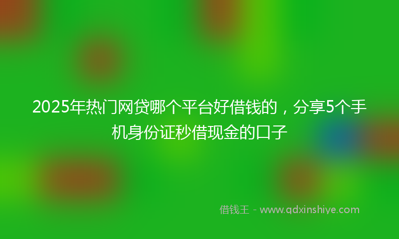 2025年热门网贷哪个平台好借钱的，分享5个手机身份证秒借现金的口子