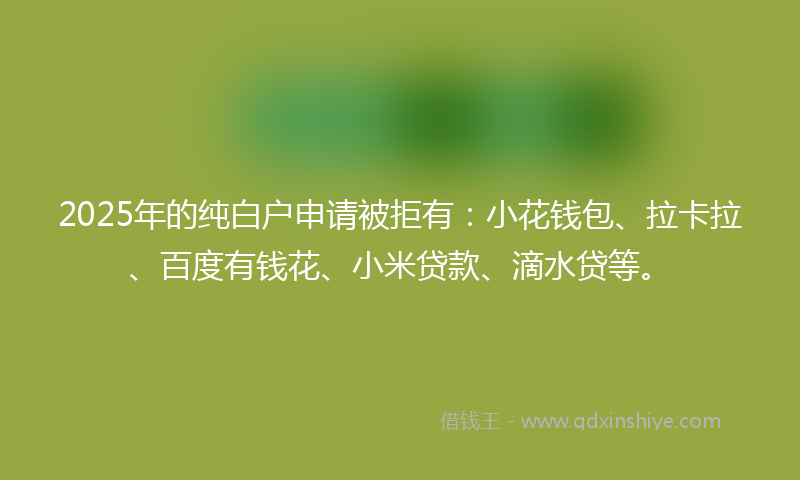 2025年的纯白户申请被拒有：小花钱包、拉卡拉、百度有钱花、小米贷款、滴水贷等。