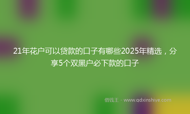 21年花户可以贷款的口子有哪些2025年精选，分享5个双黑户必下款的口子