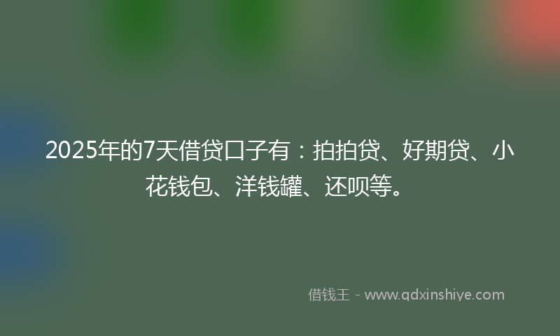 2025年的7天借贷口子有：拍拍贷、好期贷、小花钱包、洋钱罐、还呗等。
