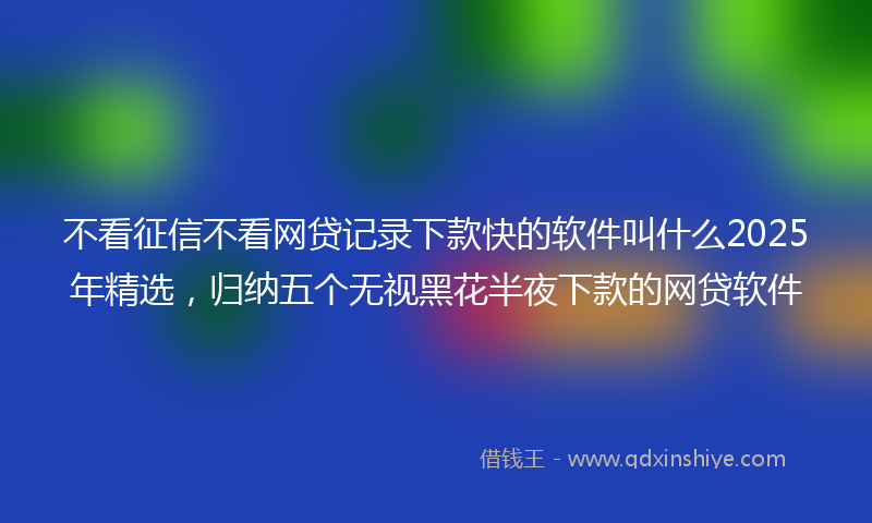 不看征信不看网贷记录下款快的软件叫什么2025年精选，归纳五个无视黑花半夜下款的网贷软件