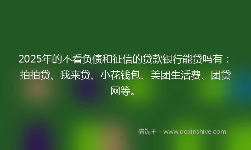 2025年的不看负债和征信的贷款银行能贷吗有：拍拍贷、我来贷、小花钱包、美团生活费、团贷网等。