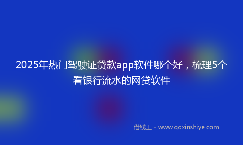 2025年热门驾驶证贷款app软件哪个好，梳理5个看银行流水的网贷软件