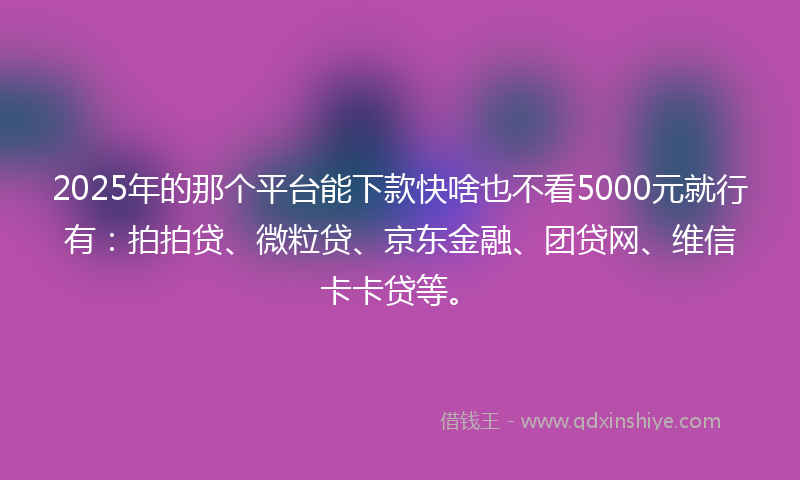 2025年的那个平台能下款快啥也不看5000元就行有：拍拍贷、微粒贷、京东金融、团贷网、维信卡卡贷等。