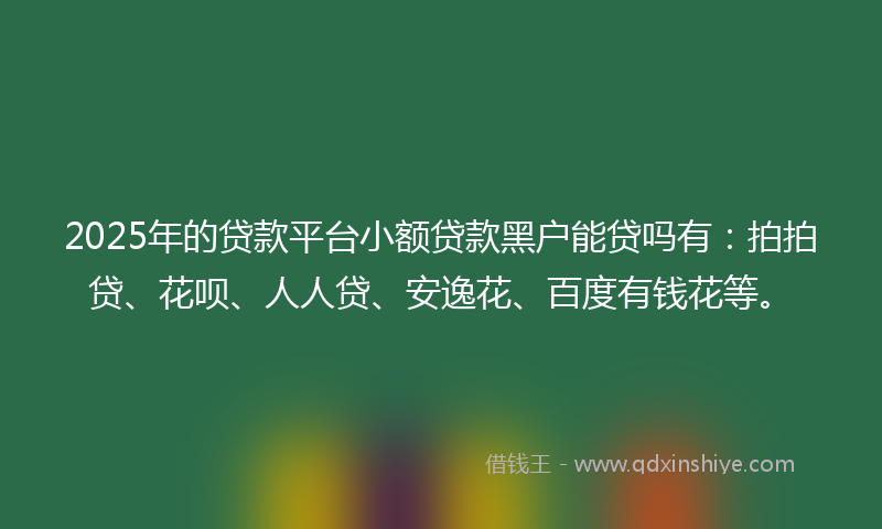2025年的贷款平台小额贷款黑户能贷吗有：拍拍贷、花呗、人人贷、安逸花、百度有钱花等。