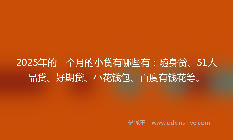 2025年的一个月的小贷有哪些有:随身贷、51人品贷、好期贷、小花钱包、百度有钱花等。