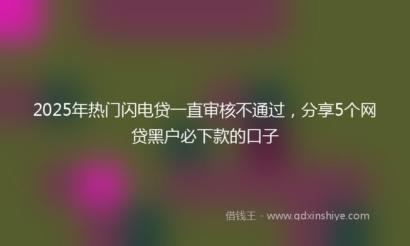 2025年热门闪电贷一直审核不通过,分享5个网贷黑户必下款的口子