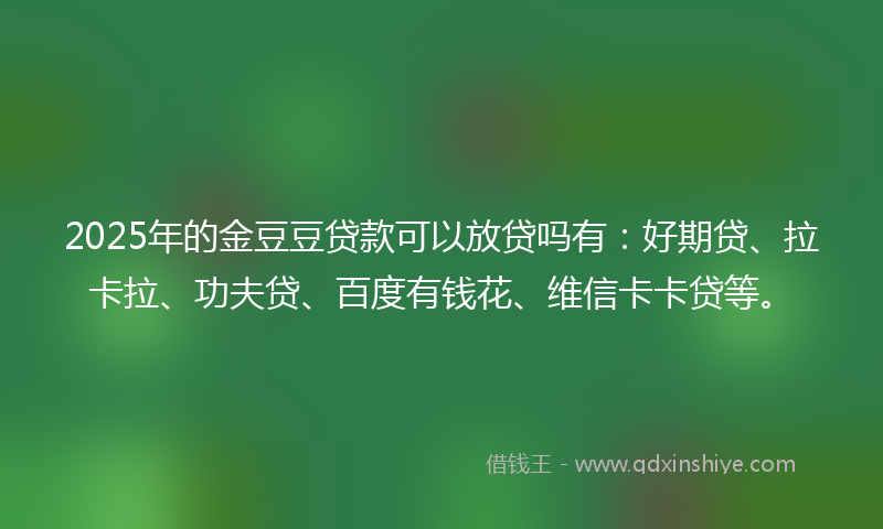 2025年的金豆豆贷款可以放贷吗有：好期贷、拉卡拉、功夫贷、百度有钱花、维信卡卡贷等。