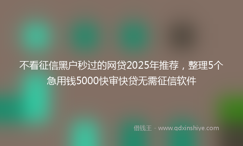 不看征信黑户秒过的网贷2025年推荐，整理5个急用钱5000快审快贷无需征信软件