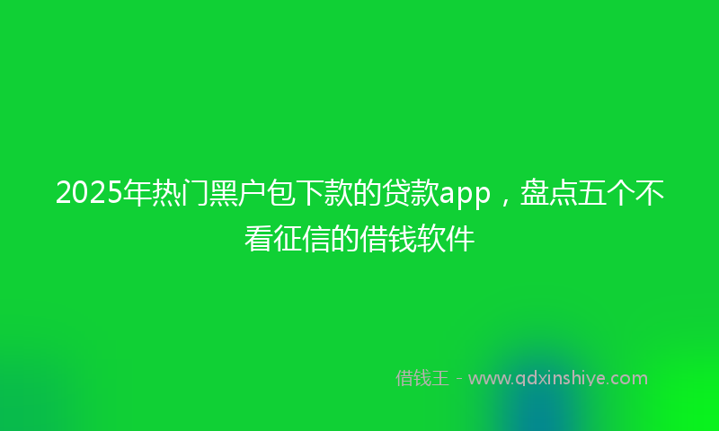 2025年热门黑户包下款的贷款app，盘点五个不看征信的借钱软件