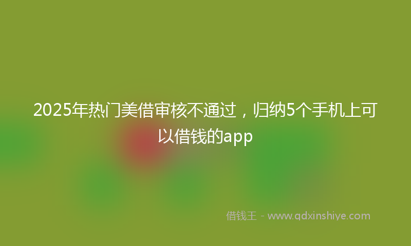 2025年热门美借审核不通过，归纳5个手机上可以借钱的app
