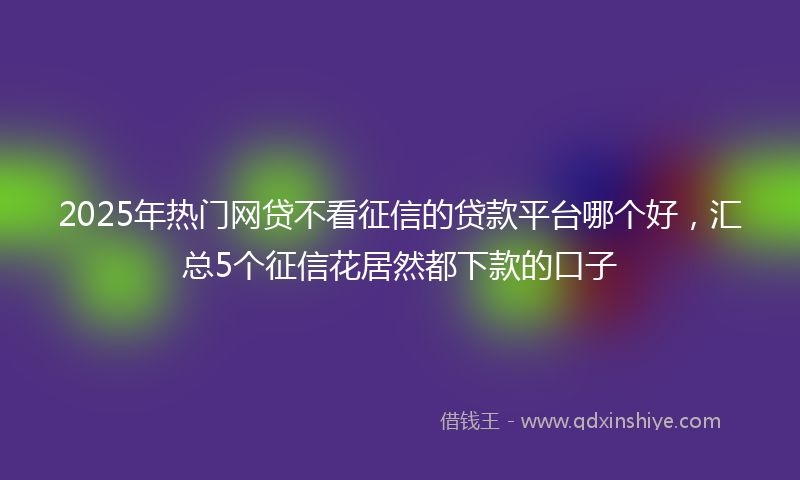 2025年热门网贷不看征信的贷款平台哪个好，汇总5个征信花居然都下款的口子