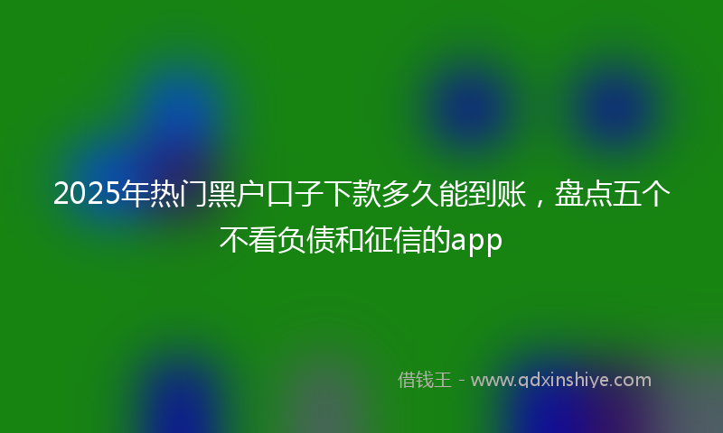2025年热门黑户口子下款多久能到账，盘点五个不看负债和征信的app