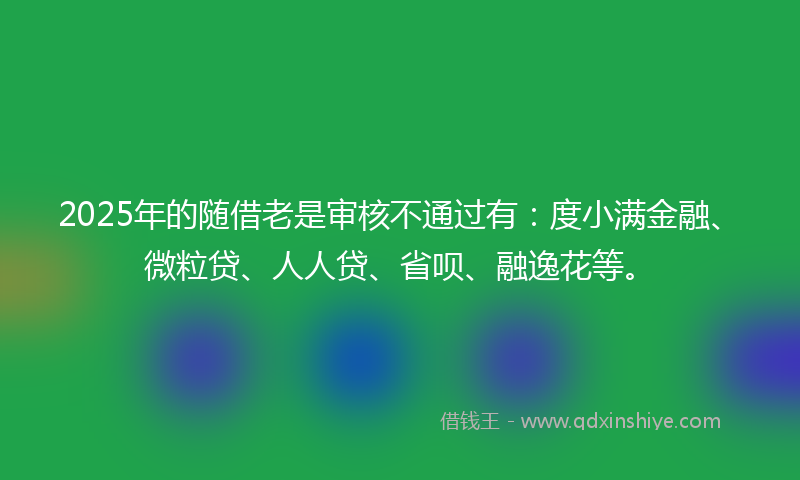 2025年的随借老是审核不通过有：度小满金融、微粒贷、人人贷、省呗、融逸花等。