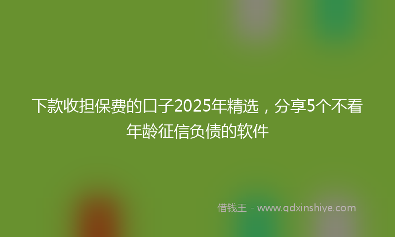 下款收担保费的口子2025年精选，分享5个不看年龄征信负债的软件