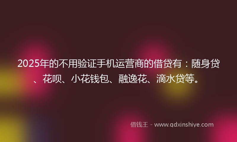 2025年的不用验证手机运营商的借贷有：随身贷、花呗、小花钱包、融逸花、滴水贷等。